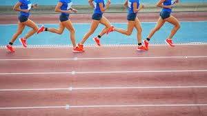 2025 赛季：由于比赛节奏变快，大联盟球场内的官方餐饮销售额在 2025 年增长了 20%